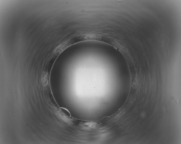 X0000081370478200701182143