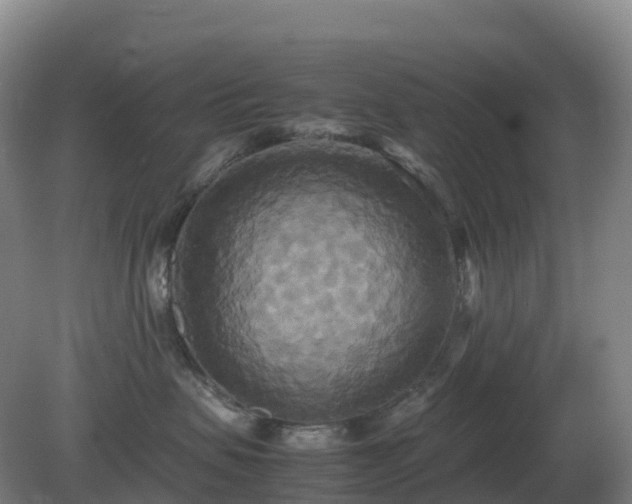 X0000081370479200701182143