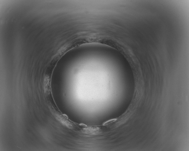 X0000081370480200701182143