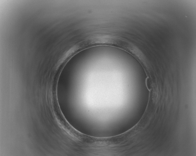 X0000081370482200701182143