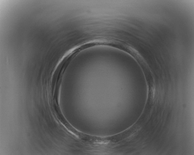 X0000081370484200701182143