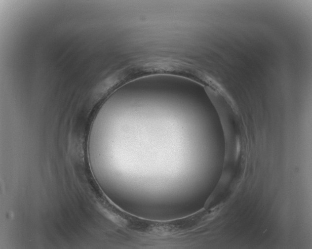 X0000081370489200701182143