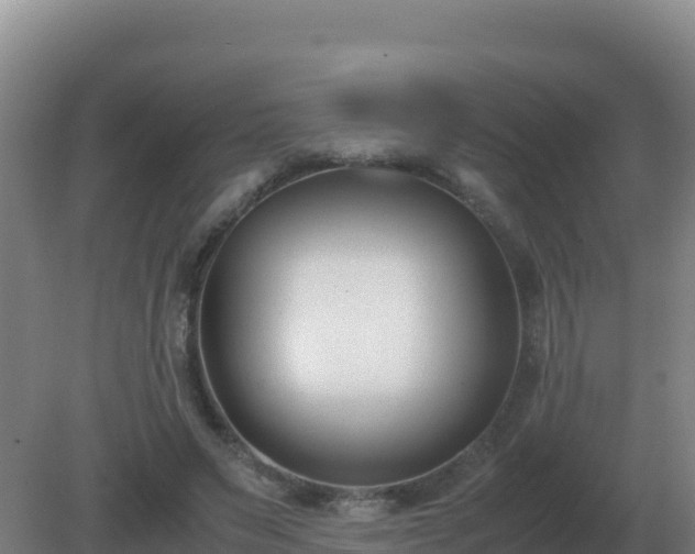 X0000081370495200701182142