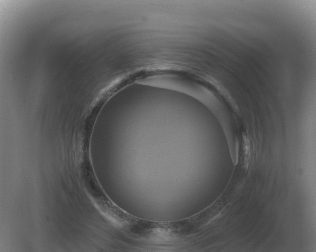 X0000081370496200701182142