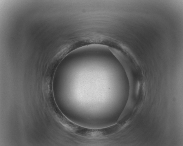 X0000081370501200701182142