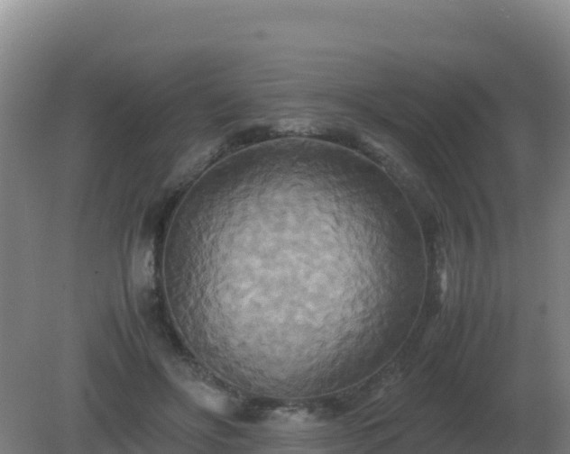 X0000081370502200701182142
