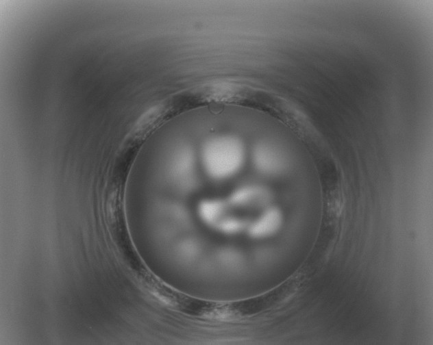 X0000081370503200701182142