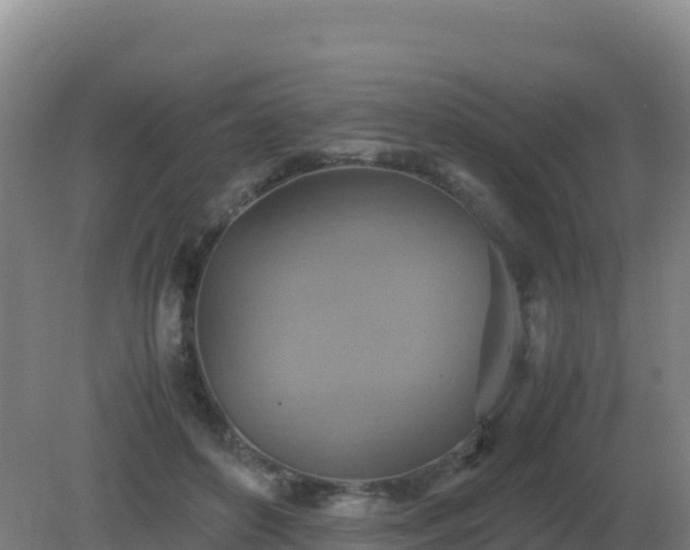 X0000081370504200701182142