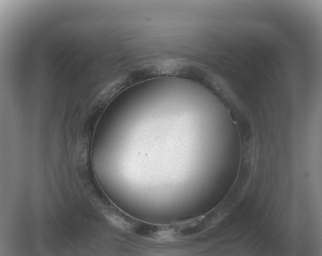 X0000081370505200701182142