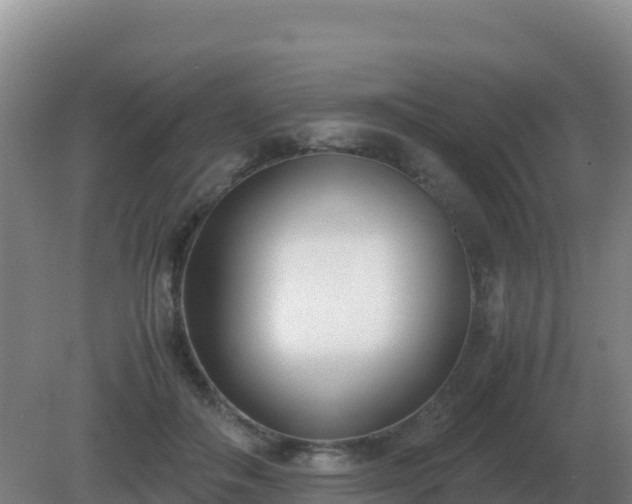 X0000081370506200701182142