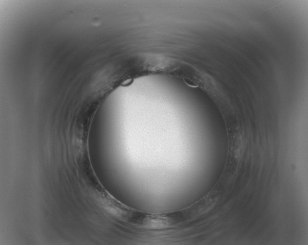 X0000081370510200701182142