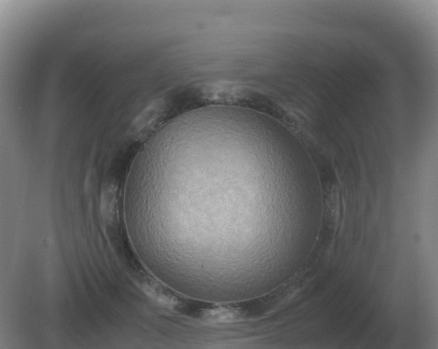 X0000081370511200701182142