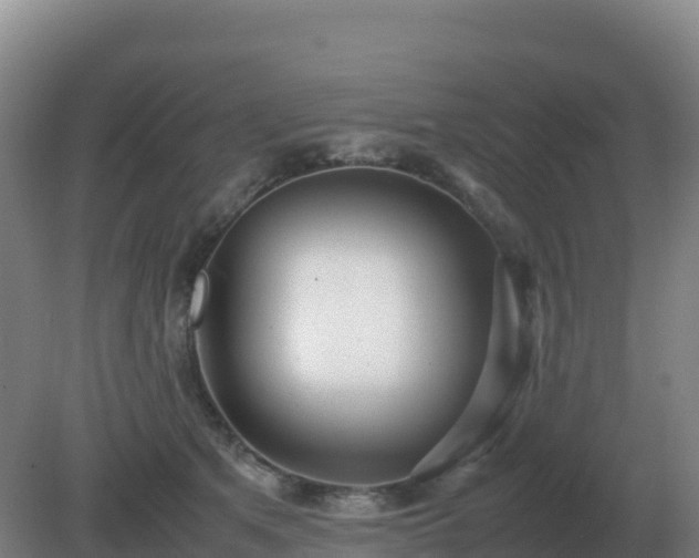 X0000081370513200701182142
