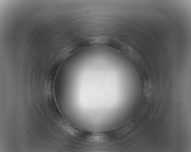 X0000081370514200701182142