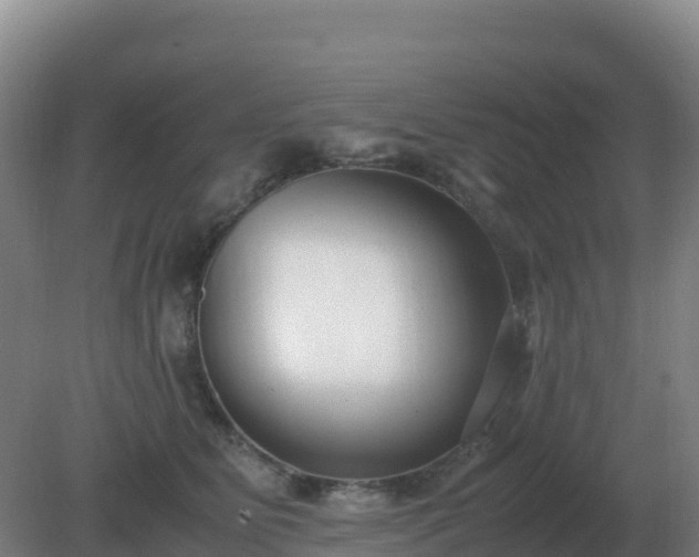 X0000081370515200701182142