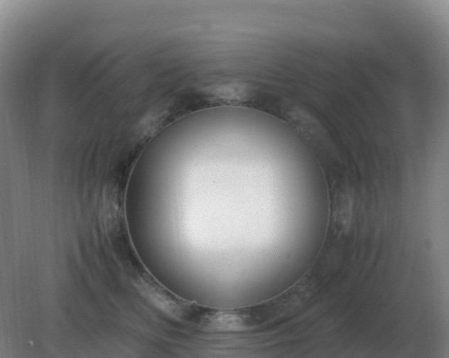 X0000081370518200701182142