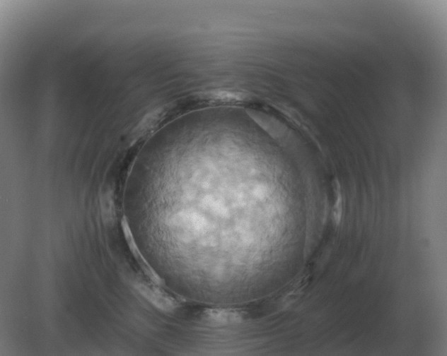 X0000081370520200701182142