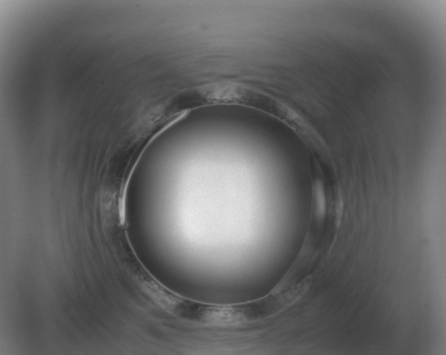 X0000081370521200701182142