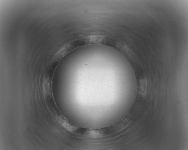 X0000081370522200701182142