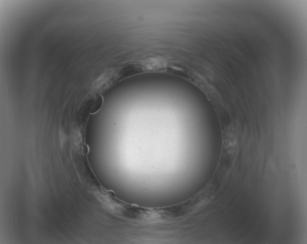 X0000081370523200701182142