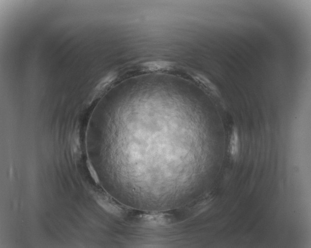 X0000081370524200701182142