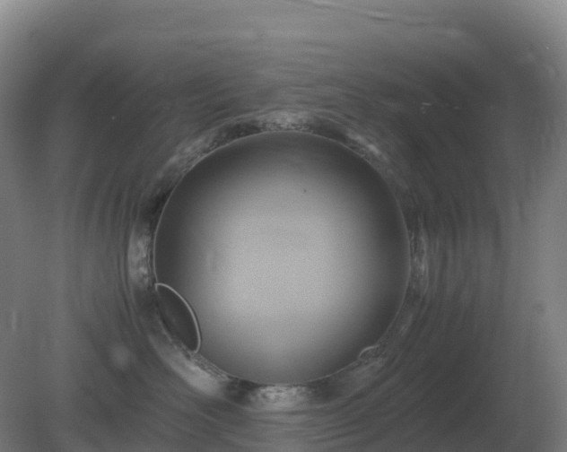 X0000081370526200701182142