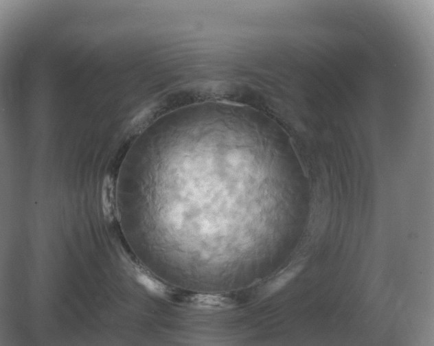 X0000081370528200701182142
