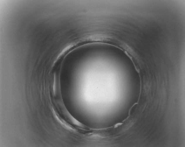 X0000081370530200701182141