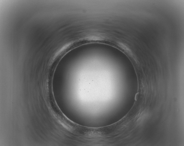 X0000081370535200701182141