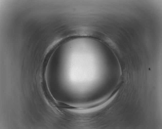 X0000081370536200701182141