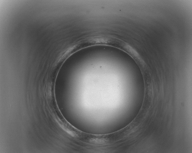 X0000081370537200701182141