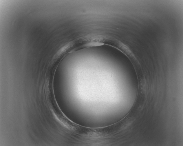 X0000081370538200701182141