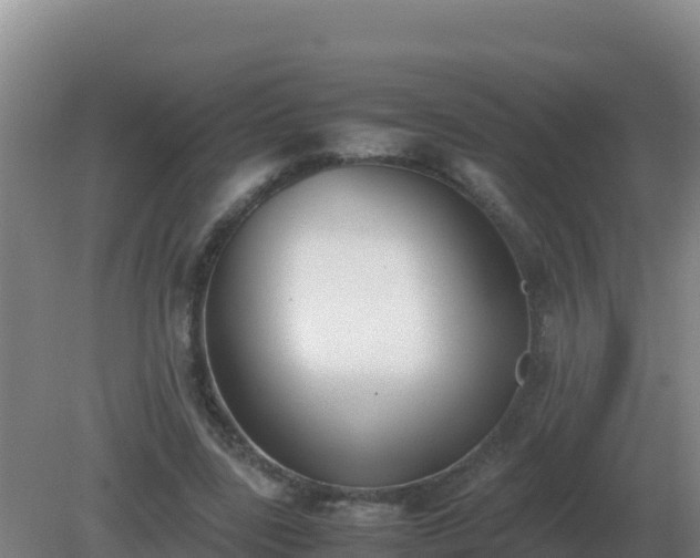 X0000081370539200701182141