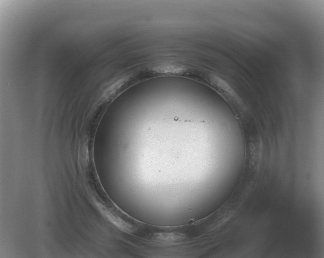 X0000081370541200701182141