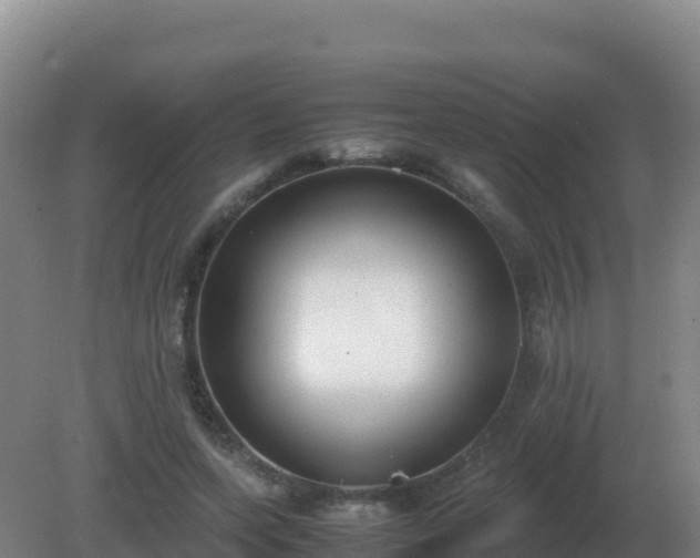 X0000081370543200701182141