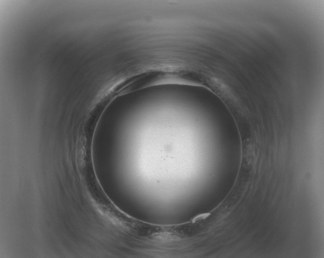 X0000081370544200701182141