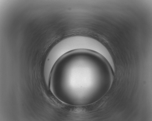 X0000081370546200701182141