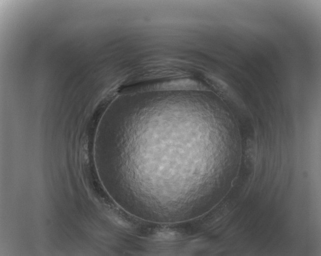 X0000081370547200701182141