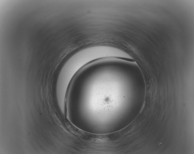 X0000081370548200701182141