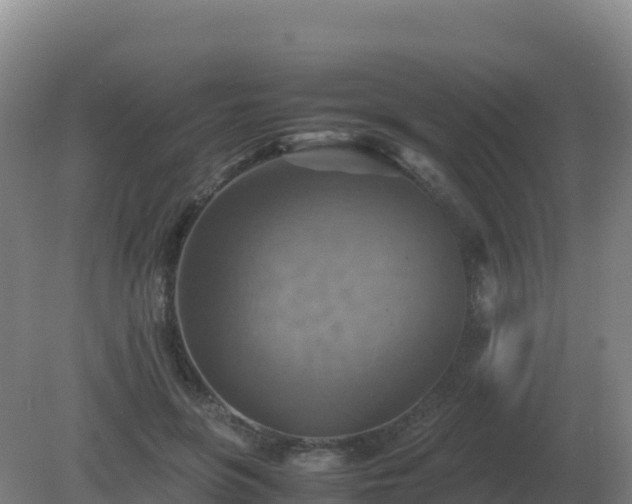 X0000081370551200701182141
