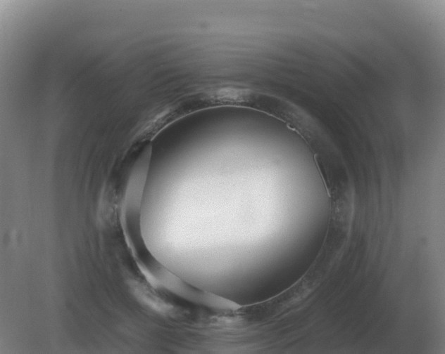 X0000081370552200701182141