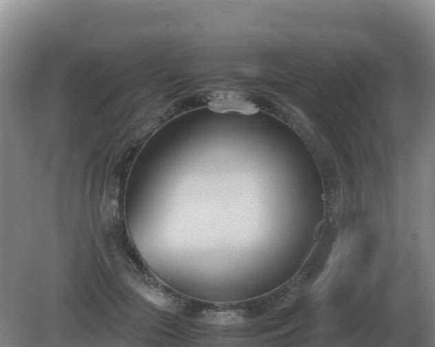 X0000081370553200701182141