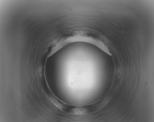 X0000081370556200701182142