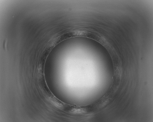 X0000081370557200701182142