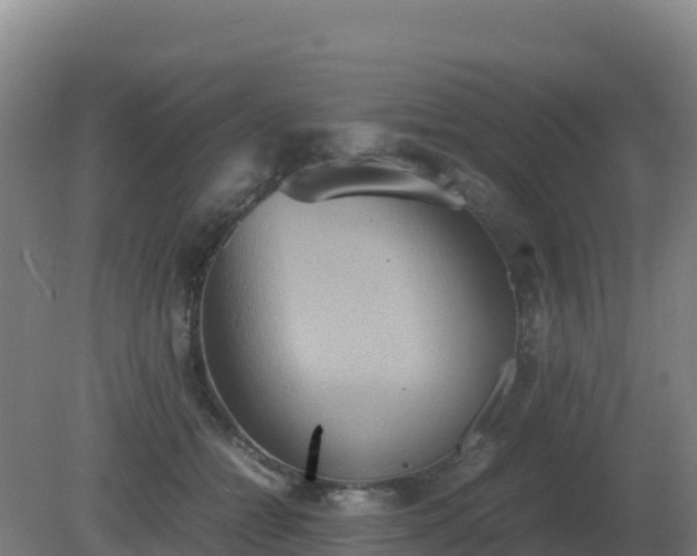X0000081370558200701182142