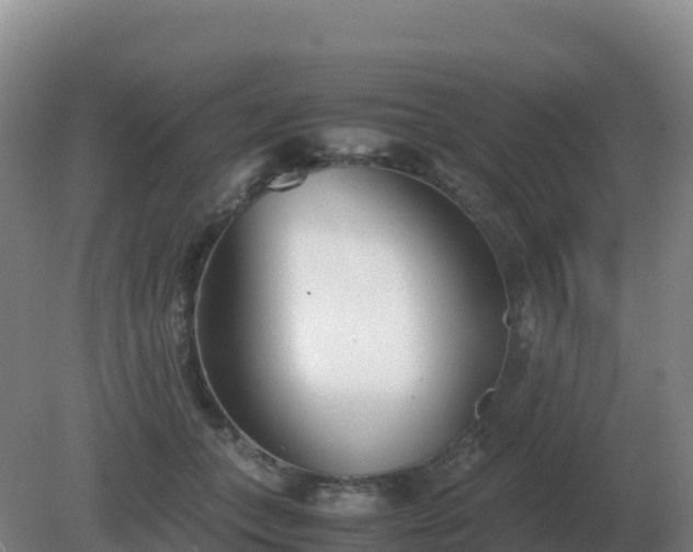 X0000081370559200701182142