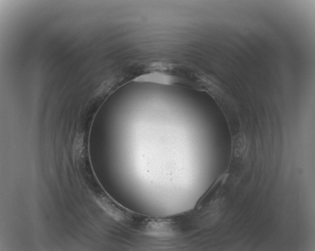 X0000081370560200701182142