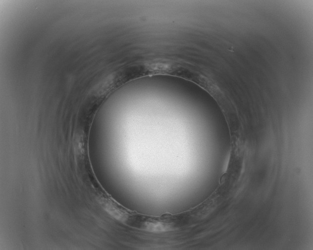 X0000081370561200701182142