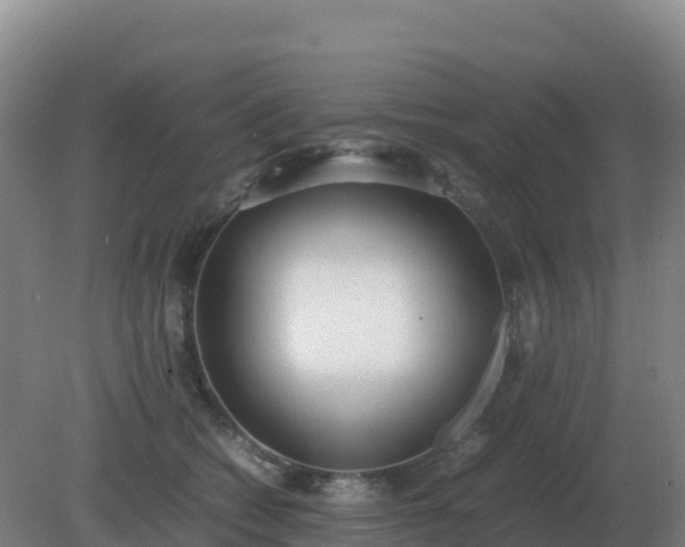 X0000081370562200701182142