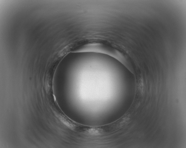 X0000081370566200701182142